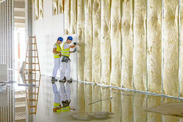 Best Specialized Insulation Services in Keene, TX